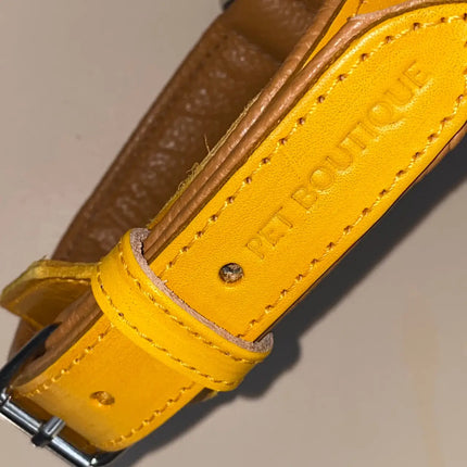 Pet Boutique - Collare Linea Miami - giallo ocra / XS - Collari