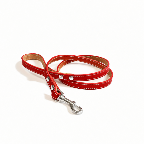 Guinzaglio in Cuoio Urban – Pelle Morbida Imbottita, Made in Italy | Pet Boutique