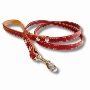 Pet Boutique - Guinzaglio in cuoio Urban - Rosso / S - Guinzagli