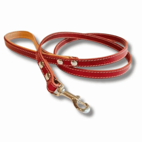 Pet Boutique - Guinzaglio in cuoio Urban - Rosso / S - Guinzagli