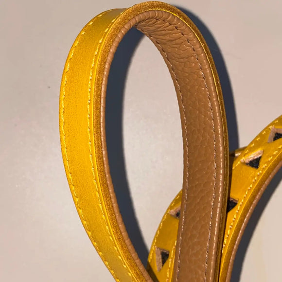 Pet Boutique - Guinzaglio Linea Miami - Guinzagli