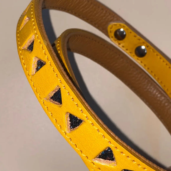 Pet Boutique - Guinzaglio Linea Miami - Guinzagli