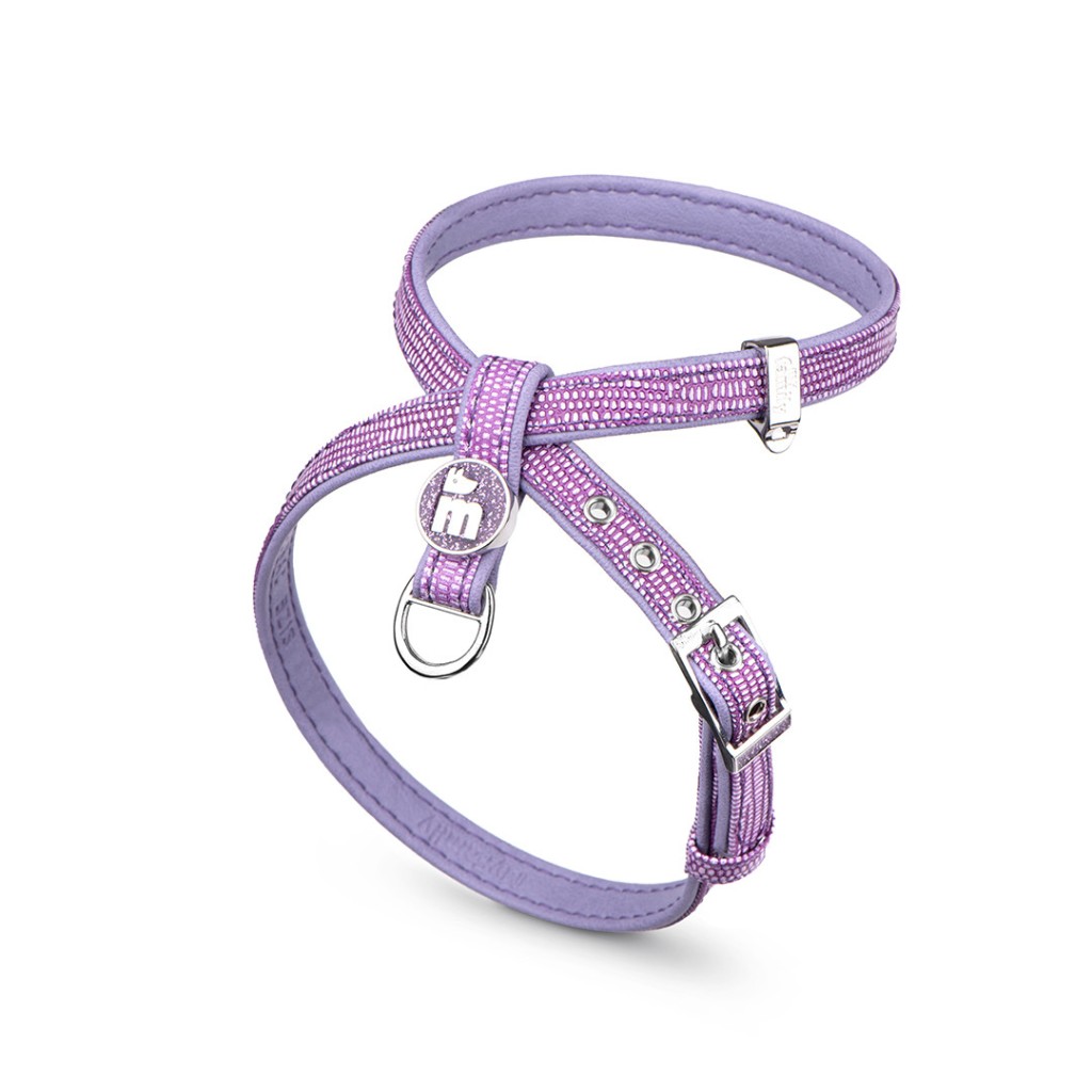 Pet Boutique - Pettorina X Saint Tropez