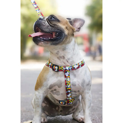 Pettorine Charlie Brown Strip