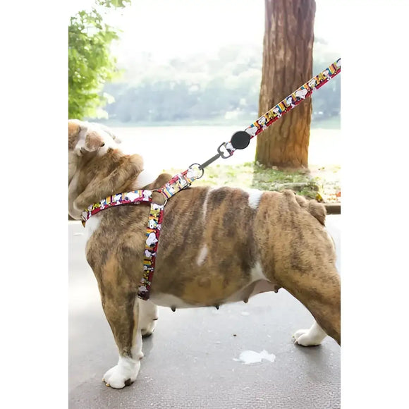 Pettorine Charlie Brown Strip