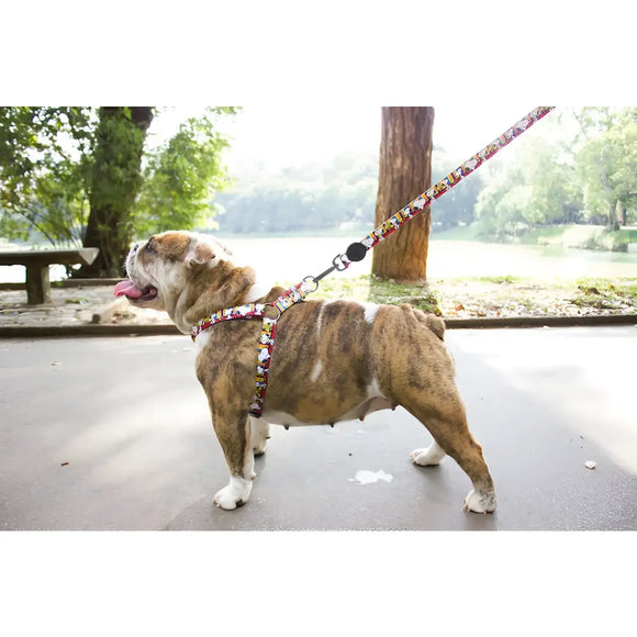 Pettorine Charlie Brown Xa Blue