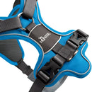 Pettorine Divo Azzurro e Grigio