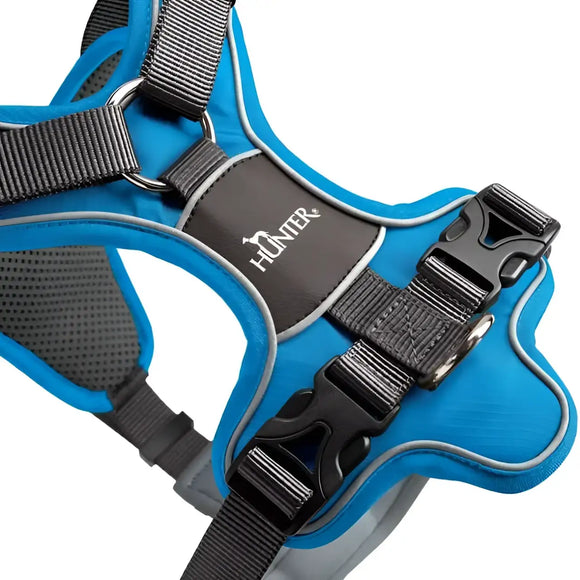 Pettorine Divo Azzurro e Grigio