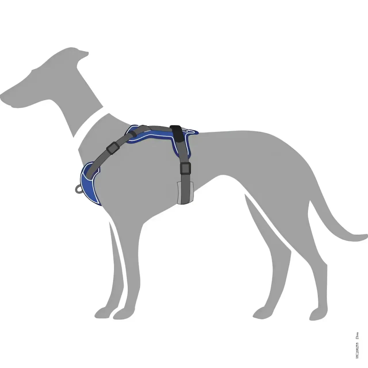 Pettorine Divo Blu scuro e Grigio