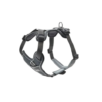 Pettorine Divo Grigio - XS 34-47 cm