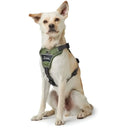 Pettorine Divo Verde scuro e Grigio