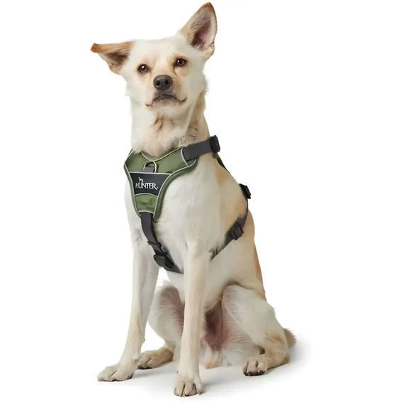 Pettorine Divo Verde scuro e Grigio