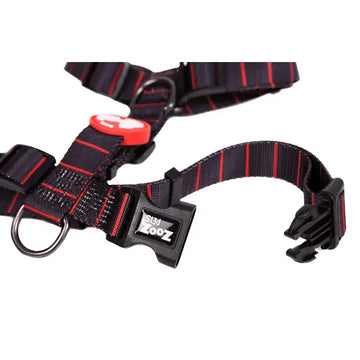 Pettorine H Charlie Brown Nero/Rosso