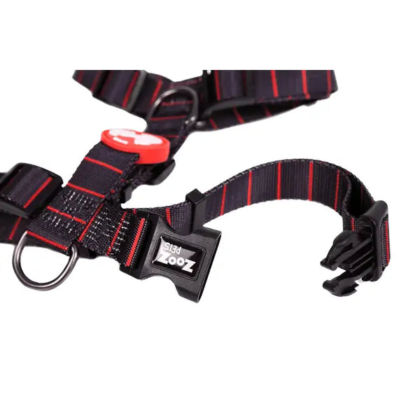 Pettorine H Charlie Brown Nero/Rosso