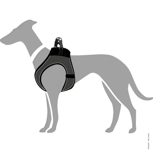 Pettorine Hilo Antracite con bordi riflettenti