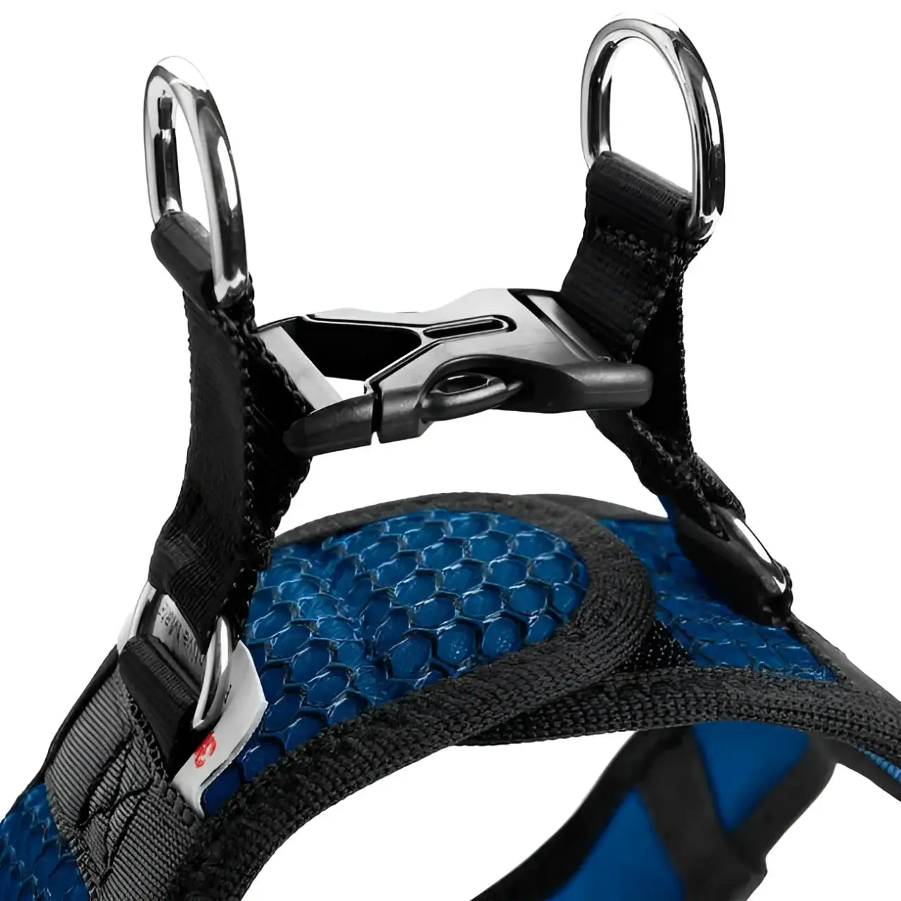 Pettorine Hilo Blu con bordi riflettenti