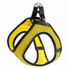 Pettorine Hilo Giallo e Nero con inserti riflettenti - XXS 31-33 cm