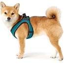 Pettorine Hilo Turchese con bordi riflettenti