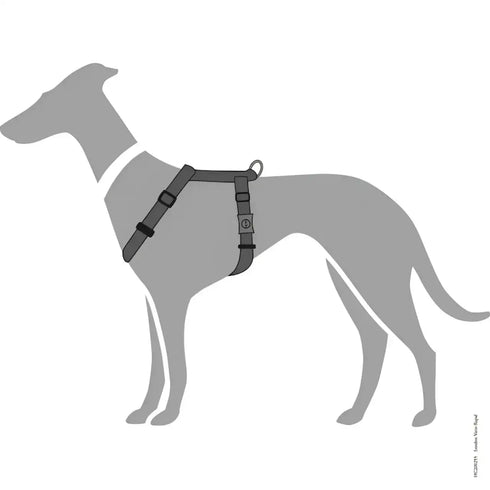 Pettorine London Antracite