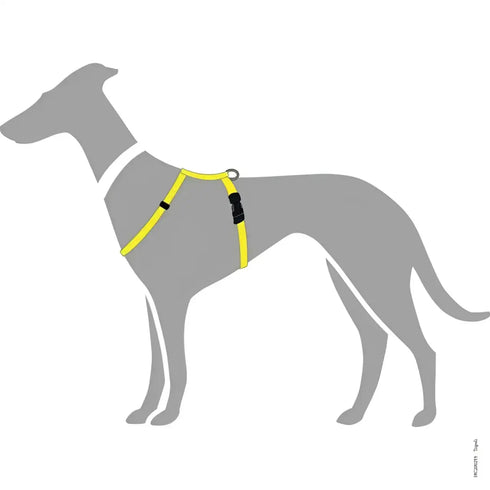 Pettorine Tripoli Giallo con inserti riflettenti