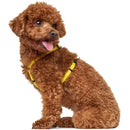 Pettorine Tripoli Giallo con inserti riflettenti