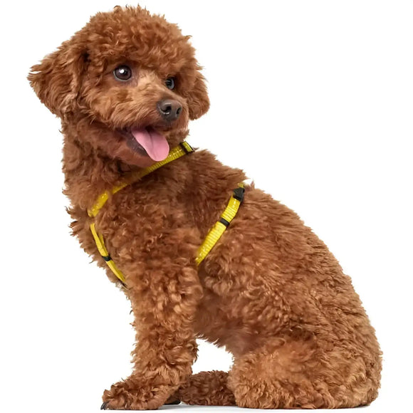 Pettorine Tripoli Giallo con inserti riflettenti