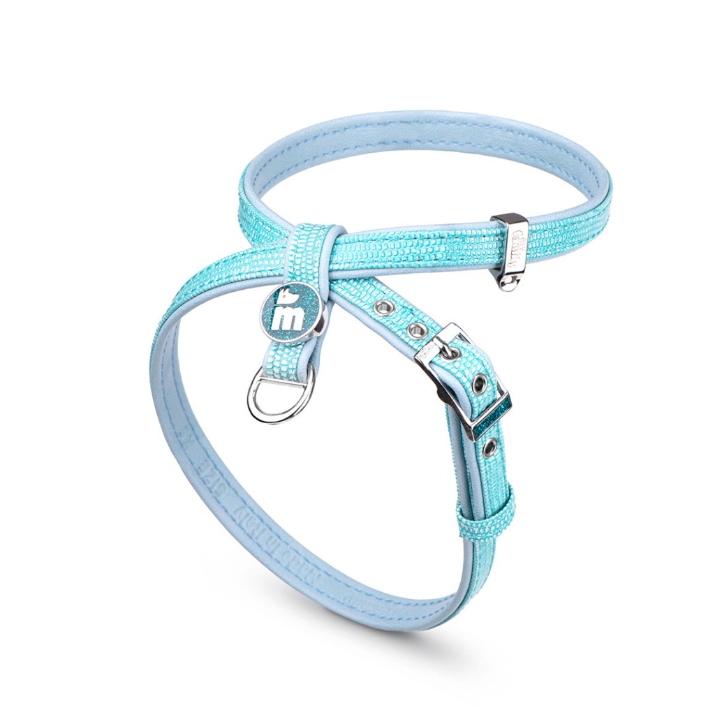 Pet Boutique - Pettorina X Saint Tropez