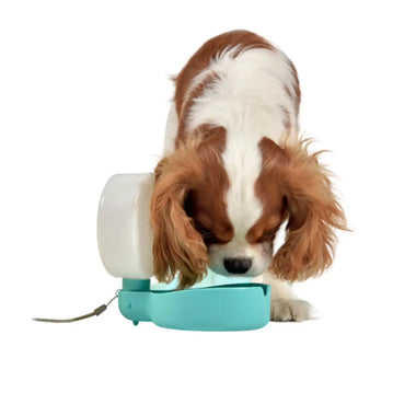United Pets Pingui Borraccia compatta per cani