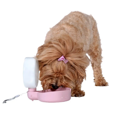 United Pets Pingui Borraccia compatta per cani - 0