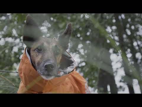 Hurtta Monsoon Dog Raincoat-5