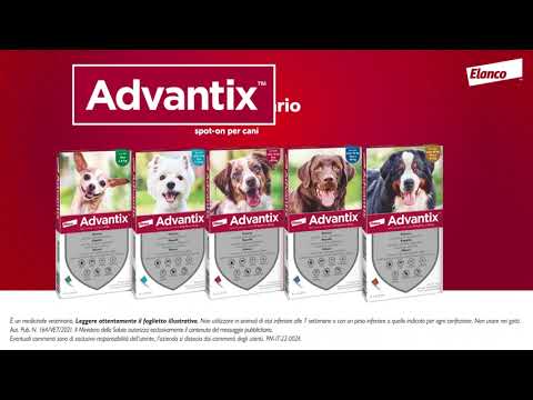 Pet Boutique - Advantix Spot On