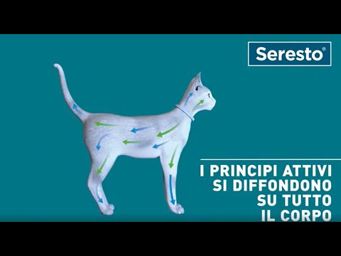 Seresto - Halsband für Katzen - 0