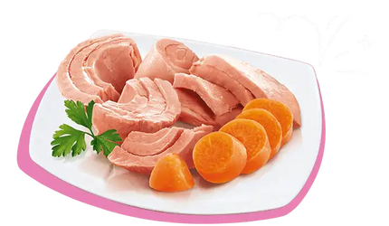 Petreet A05 Tonno rosa e carote 70 gr - 0