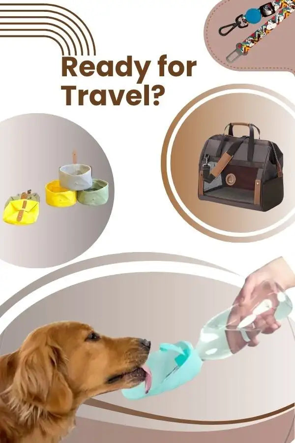 Ready for travel 600 x 900 px