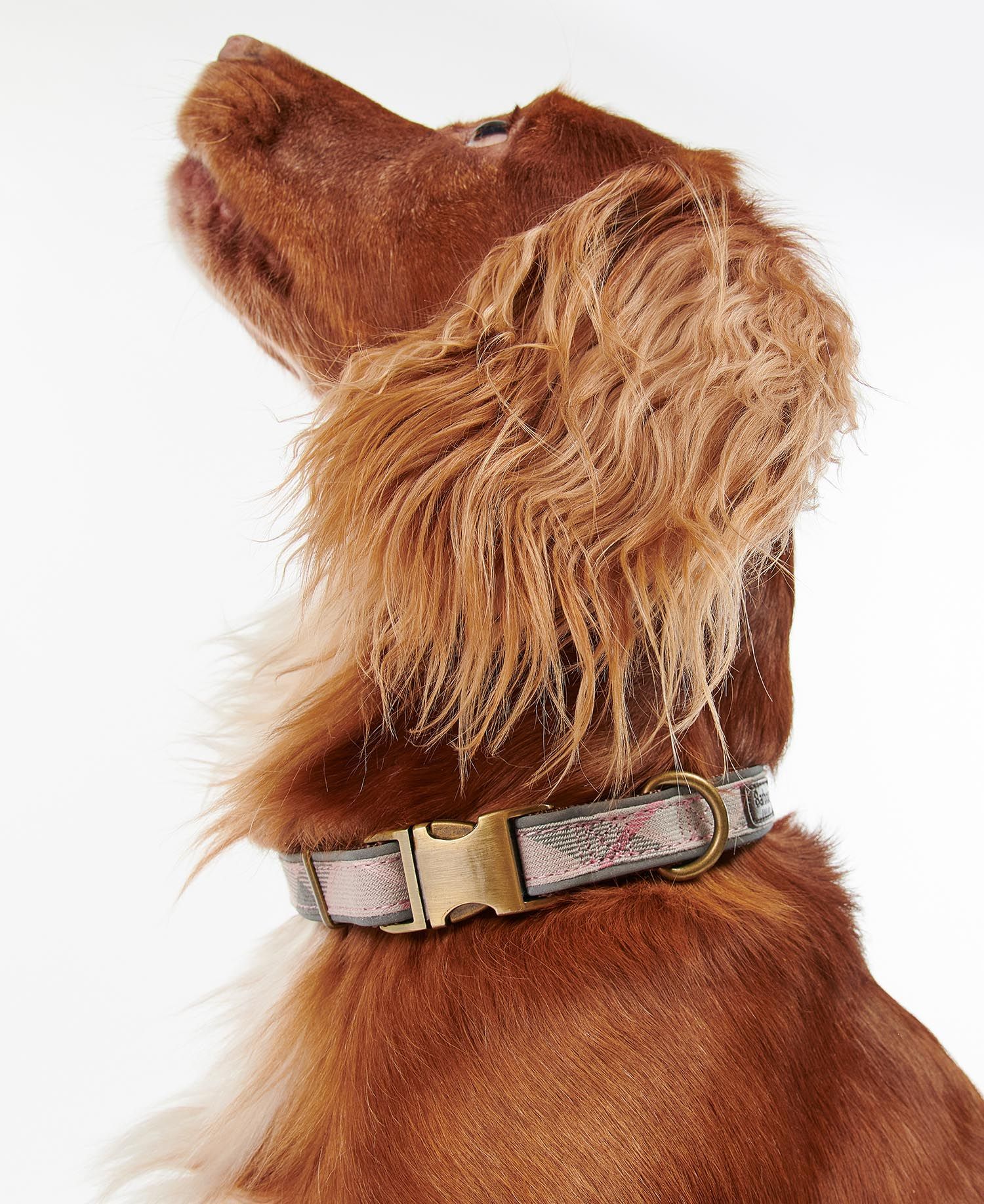 Collar para perro Barbour Tartan reflectante rosa