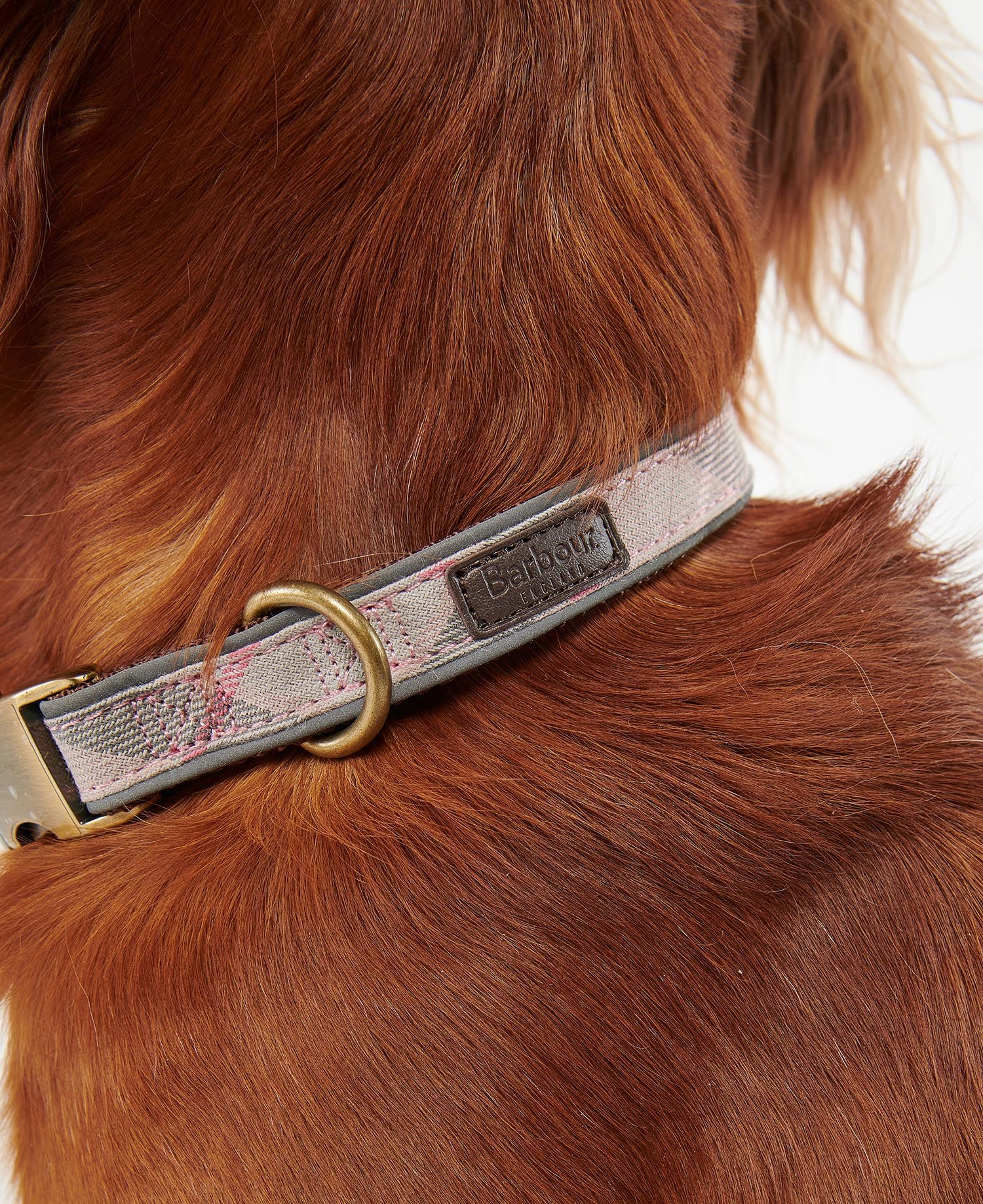 Barbour Reflective Tartan Pink Dog Collar