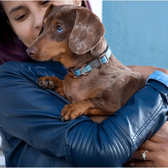 Rogz Collare Urban Rosa - Collari