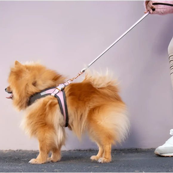 Rogz Guinzaglio Urban Rosa - Guinzagli