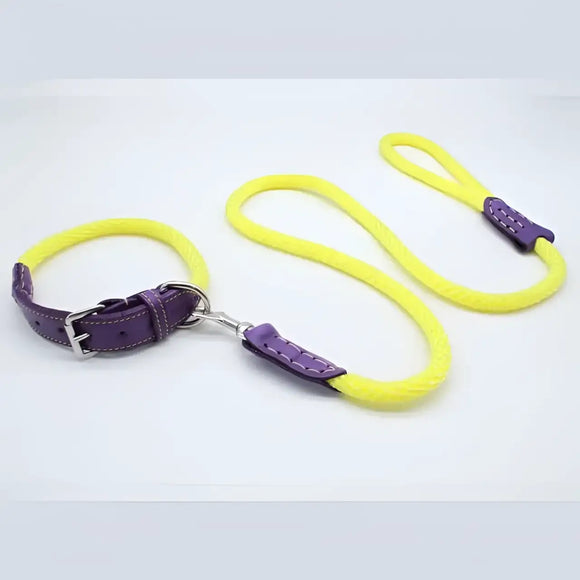 Sailing Line set in Corda Giallo & Viola - XS - Guinzagli