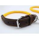 Sailing Line set in Corda Senape & Testa di moro - Guinzagli