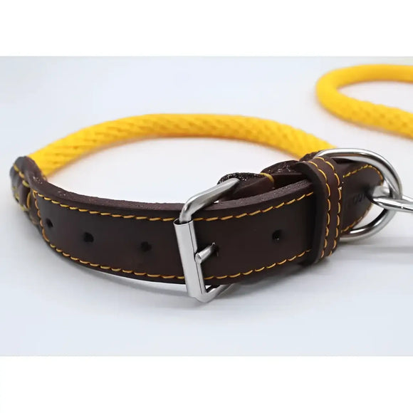 Sailing Line set in Corda Senape & Testa di moro - Guinzagli