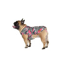 Save the Duck - Rex Fuxia Lampeggiante - Impermeabili