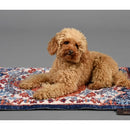 Seletti - Tappeto Pets (R)evolution - Cucce