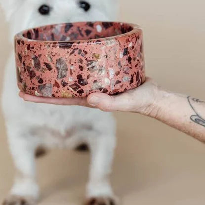 Kentucky - Terrazzo Stone Dog Bowl