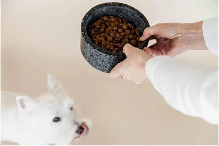 Kentucky - Terrazzo Stone Dog Bowl