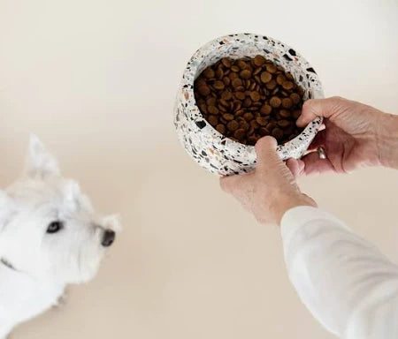 Kentucky - Terrazzo Stone Dog Bowl