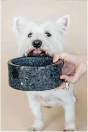 Kentucky - Cuenco para perros de piedra de terrazo