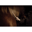 Spazzola in bambù naturale con custodia cotone - Detergenti e Igiene