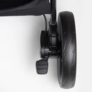 Tavo - Roscoe - Trasportini