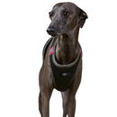 The Striped Dog - Chroma Verde Militare - Pettorine